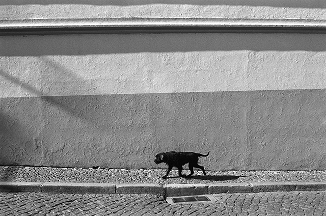Portugal14