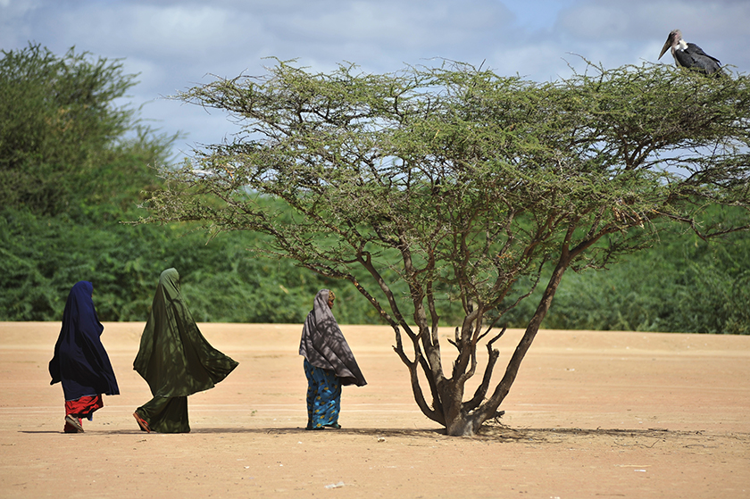 Kenya, Somali Refugees, Dadaab.